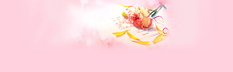粉色康乃馨母亲节海报背景