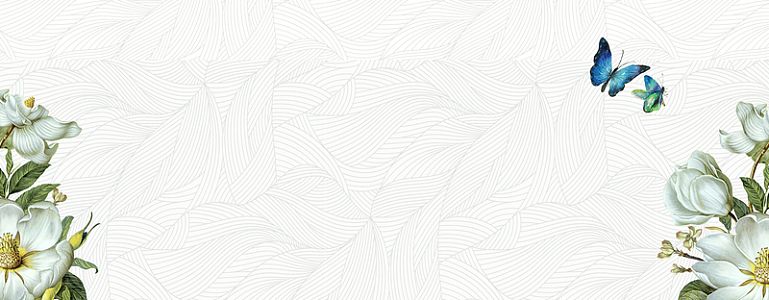 白色花瓣文艺蝴蝶底纹背景