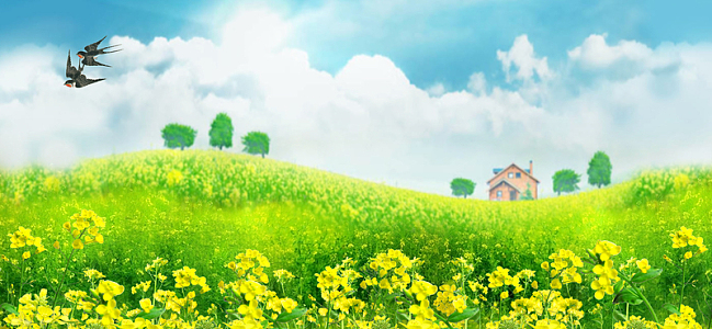 油菜花梦幻燕子房子油画阳光蓝色banner