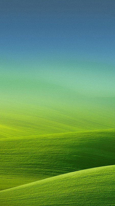 绿色草地h5背景