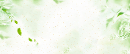 春天小清新文艺柳枝朦胧绿banner