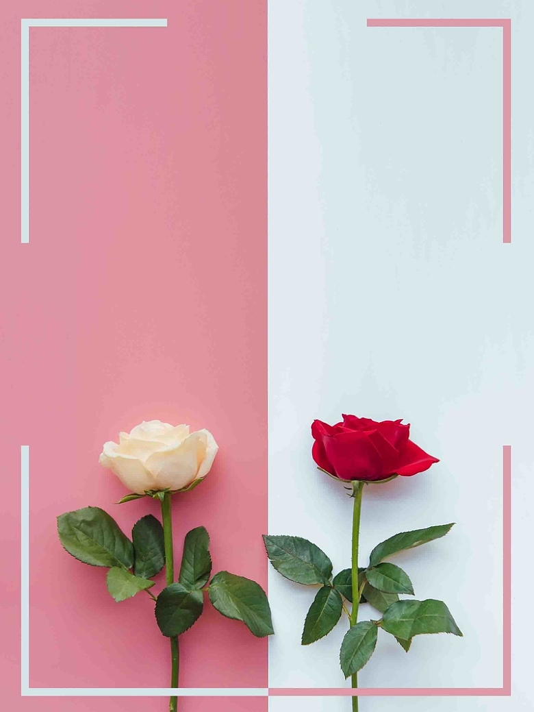 粉色花朵鲜花教师节促销海报背景模板