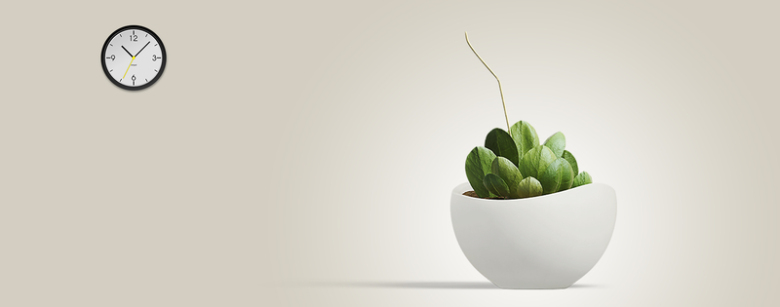 6月多肉植物小清新钟表渐变灰色背景免抠素材免费下载 觅元素51yuansu Com