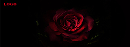 红玫瑰海报banner背景