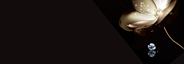 大气奢华珠宝名片背景banner