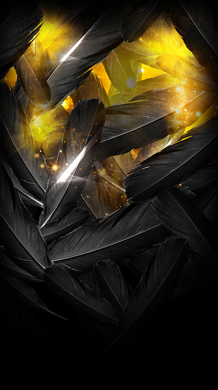 羽毛黑色背景背景素材图片-羽毛黑色背景背景图片下载-觅元素