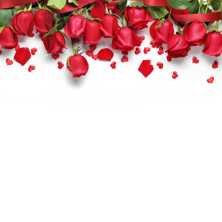 红色浪漫玫瑰新鲜花朵卡片信纸祝福明信片