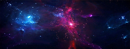唯品会banner