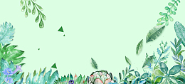 春天手绘绿叶小清新绿banner
