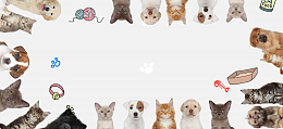 宠物美容卡通童趣手绘banner