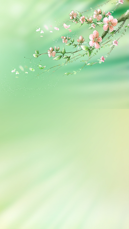 浪漫春光桃花源
