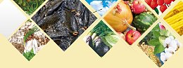 农业畜牧业农产品渔业背景banner