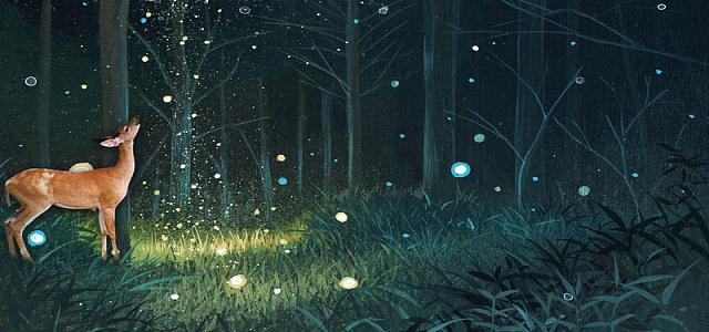 梦幻森林背景