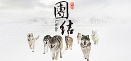 企业文化团队狼