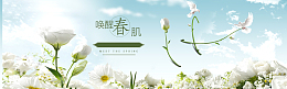 春天风格背景图