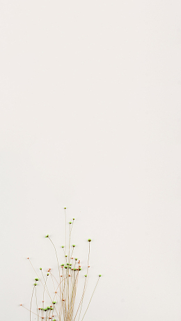 清新简约背景