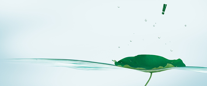 淘宝文艺化妆品海报背景(1920x800)psdpng清新绿色森林banner(1920x