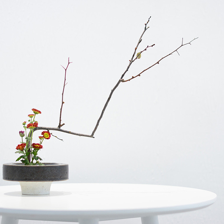 桌子上的盆栽背景图
