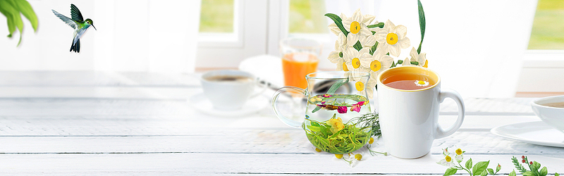 茶清新白色海报背景banner