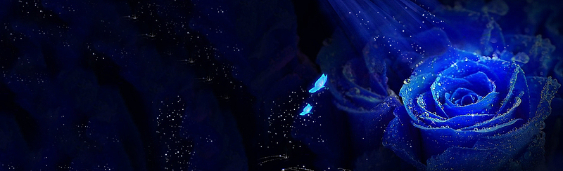 蓝色玫瑰梦幻星光背景banner