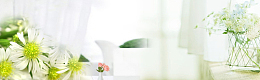 春天温馨花朵景色白色banner