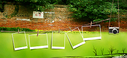 学生毕业纪念册青春照片墙背景banner