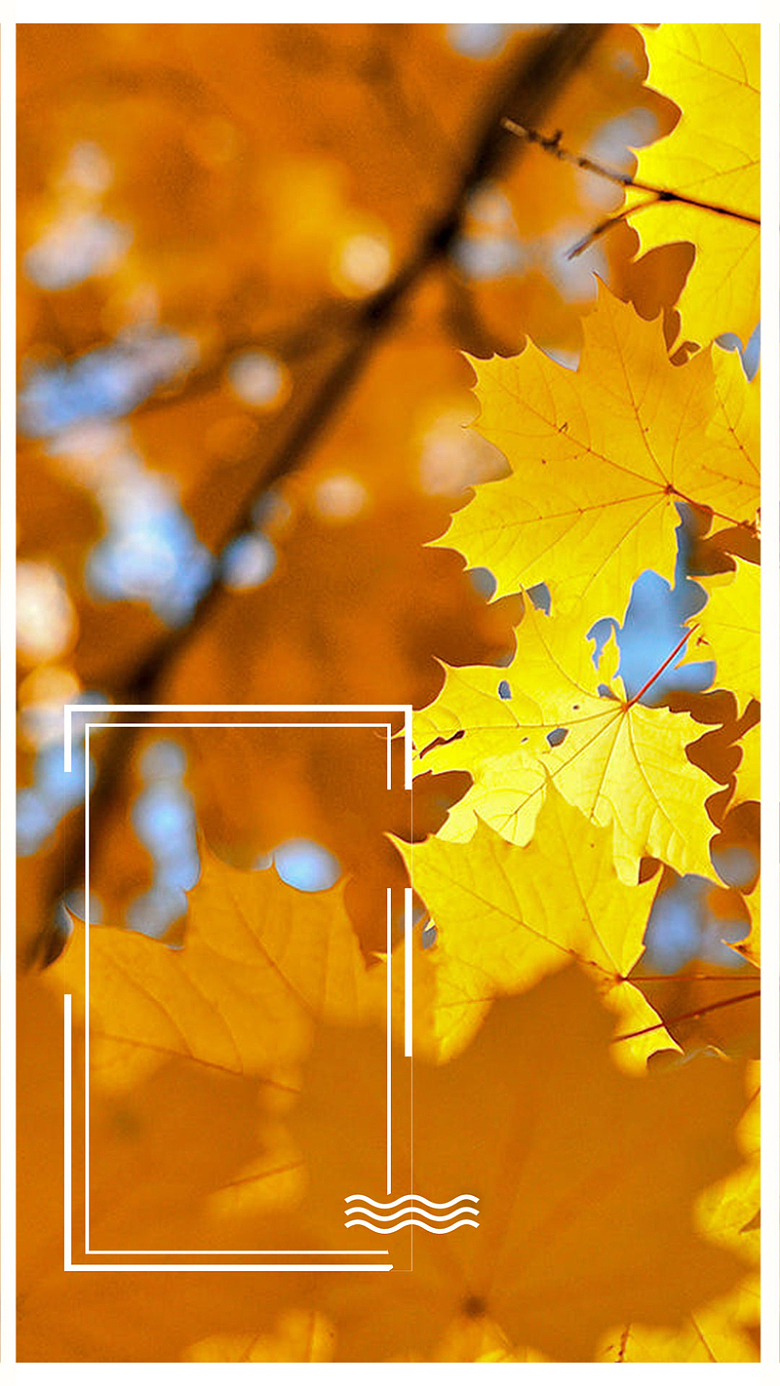 农历节气立秋黄树叶H5背景素材