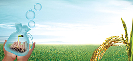 农业农作物稻米希望发芽背景banner