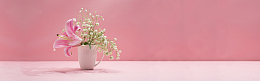 淘宝 店招 banner 背景