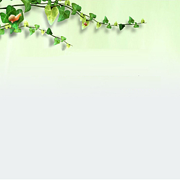 春季唯美大气主图背景