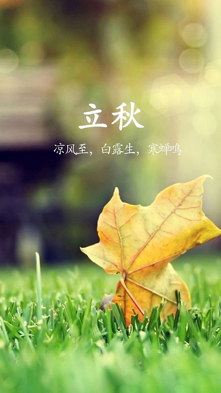 草地上的枫叶H5背景