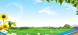 清新教育宣传黑板报海报banner