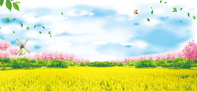 油菜花风景蓝天渐变景色蓝banner