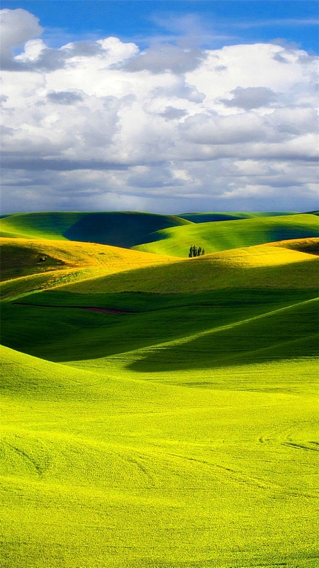 蓝天白云草原清新h5背景
