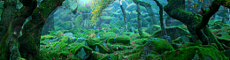 绿茵森林背景
