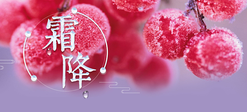 霜降文艺唯美简约banner