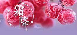 霜降文艺唯美简约banner