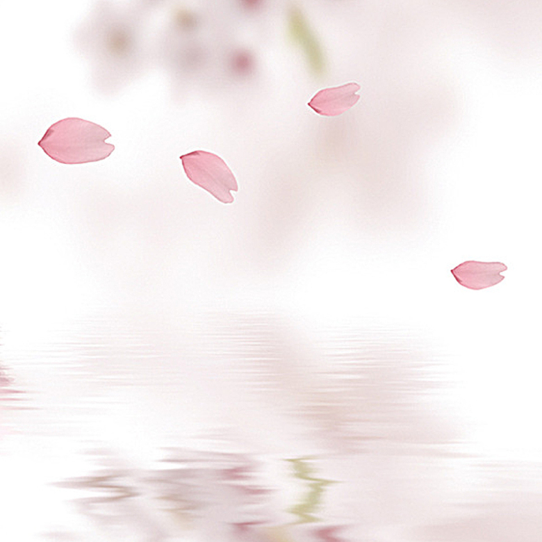 粉色花瓣淡雅化妆品主图背景素材