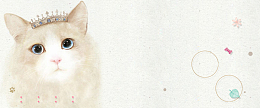 宠物文艺白色海报背景banner