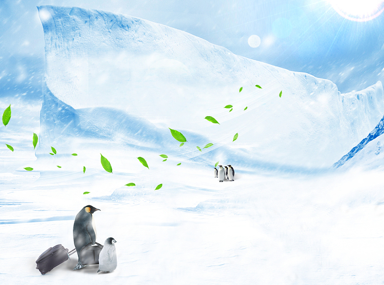 冰天雪地企鹅之家