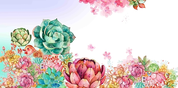 多肉植物宣传海报背景模板