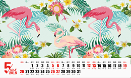 2018年5月台历背景素材