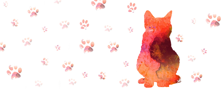 猫咪手绘白色banner