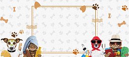卡通宠物猫狗宠物店铺宠物用品banner