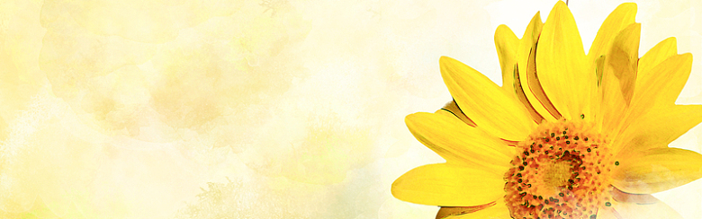 黄色手绘向日葵背景