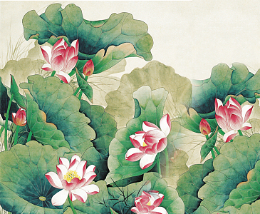 手绘荷花背景墙背景素材