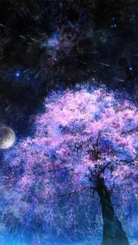 星空下的樱花h5背景