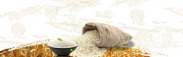 五常大米简约手绘banner
