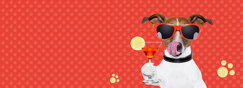 宠物美容童趣清新简约banner