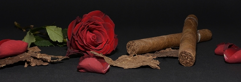 玫瑰与雪茄